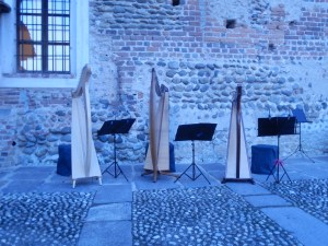 arpe celtiche del "Cerchio delle fate"